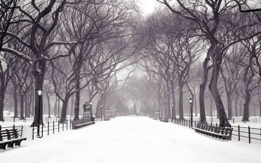 公园雪景高清壁纸图片 1280x800