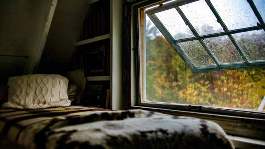 床边窗外的秋天风景高清壁纸图片 1600x900