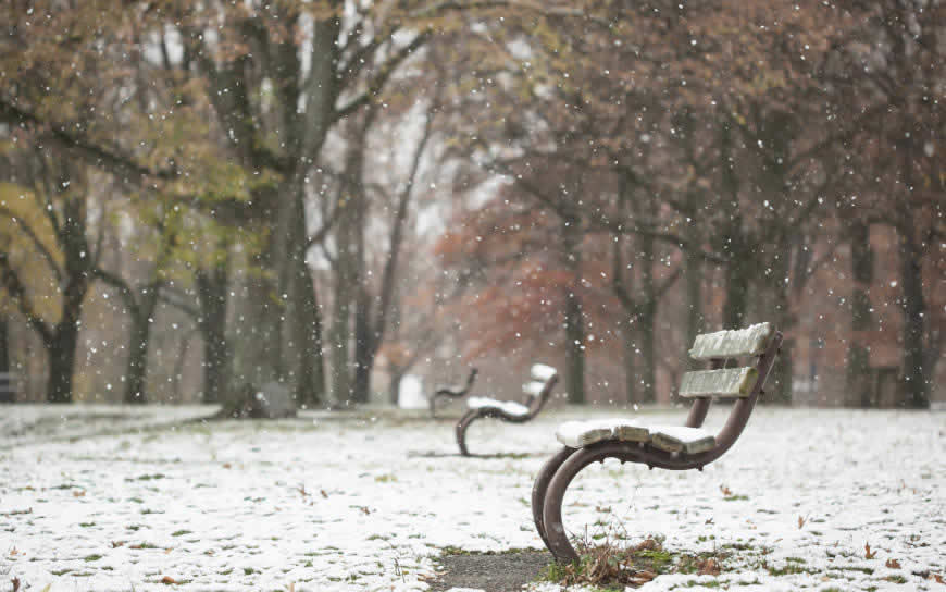冬天公园树木长椅小雪风景高清壁纸图片 1920x1200