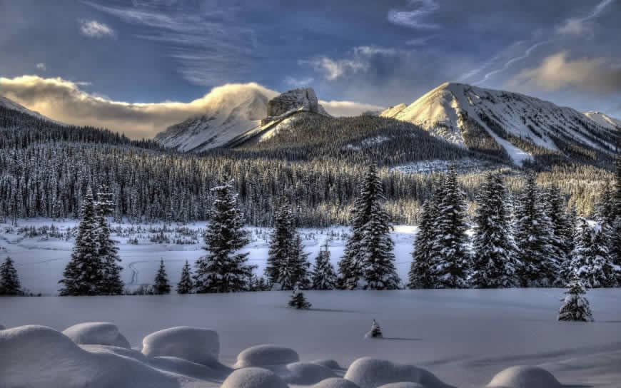 冬天树木雪山脉风景高清壁纸图片 2560x1600