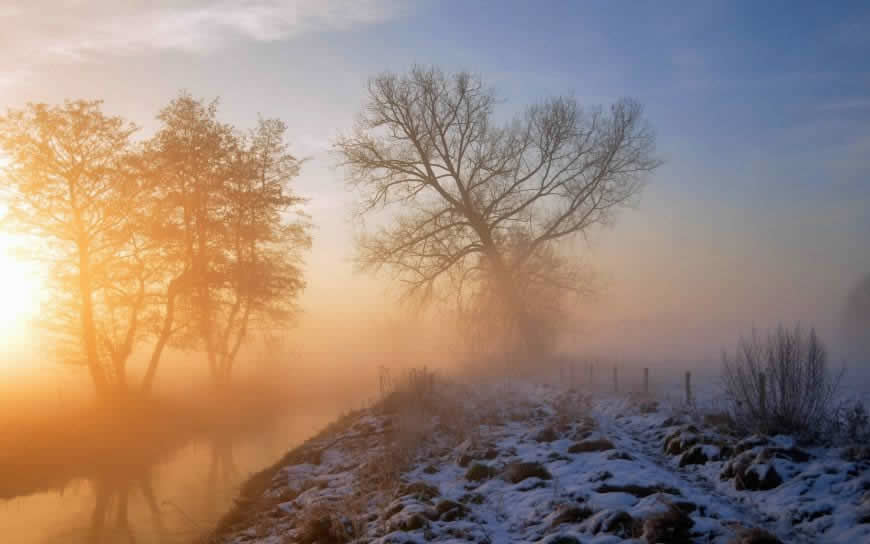 阳光树雪草地风景高清壁纸图片 2560x1600