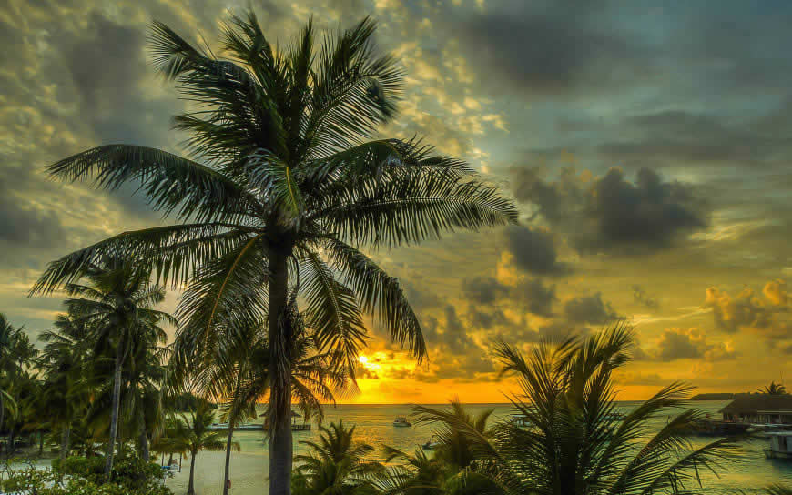 马尔代夫棕榈树海滩风景高清壁纸图片 3840x2400