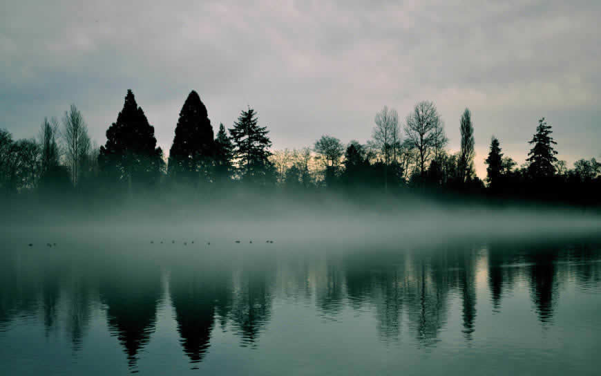 河流树木雾倒影风景高清壁纸图片 3840x2400