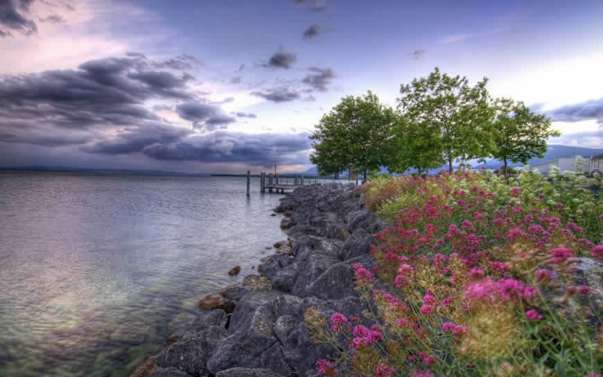 美丽天空湖泊花丛风景高清壁纸图片 2560x1600