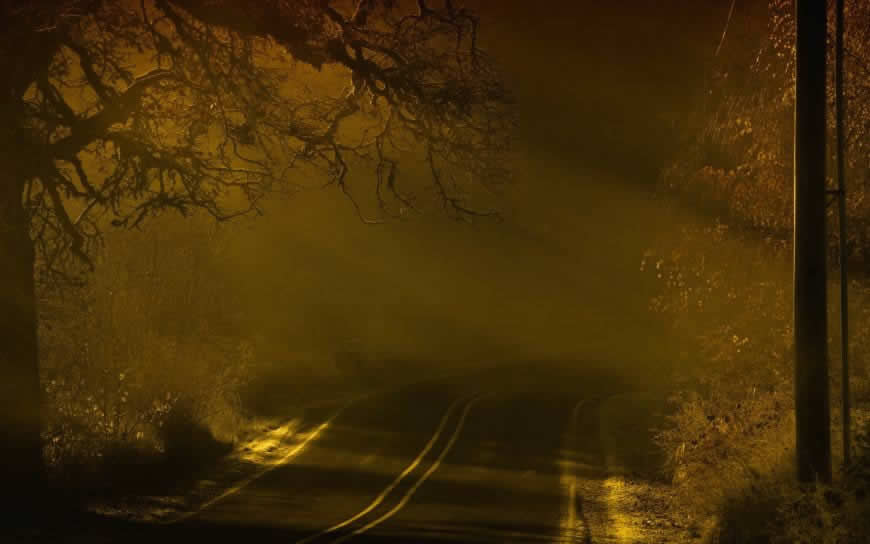 夜间道路树木雾风景高清壁纸图片 2560x1600