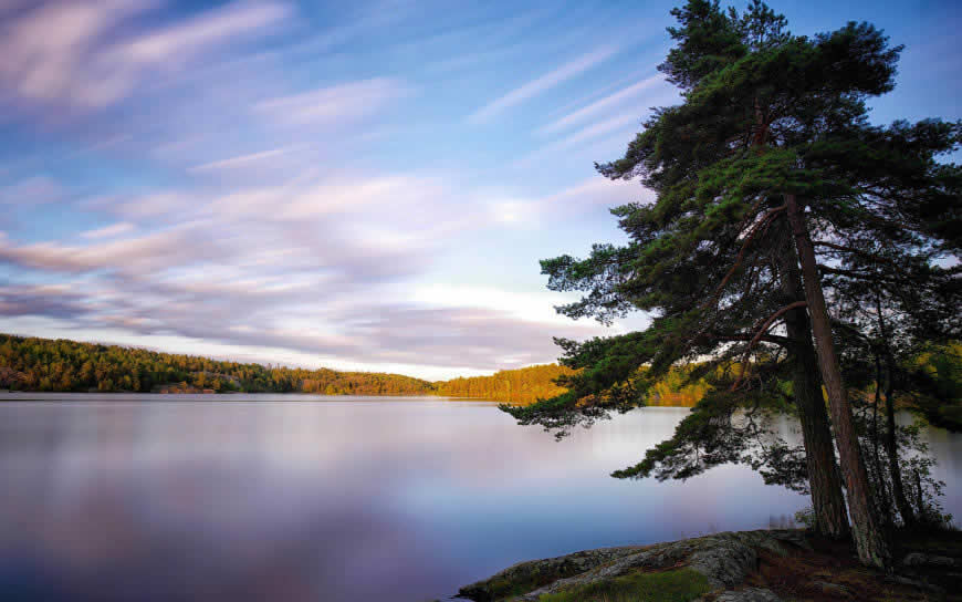 瑞典湖泊树木风景高清壁纸图片 2880x1800