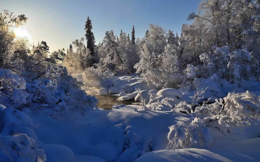 冬天雪林风景高清壁纸图片 1920x1200