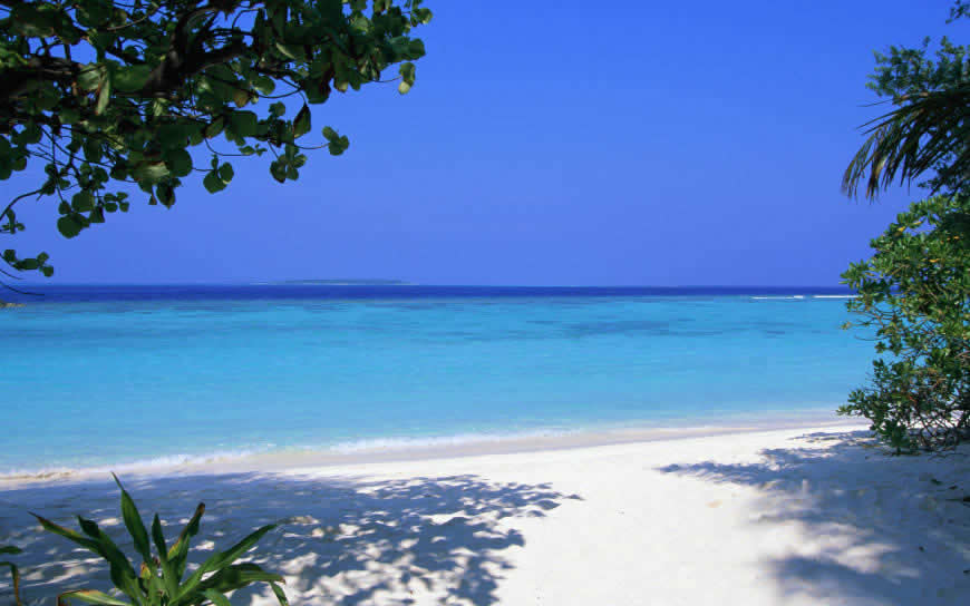马尔代夫热带海滩棕榈树风景高清壁纸图片 2880x1800