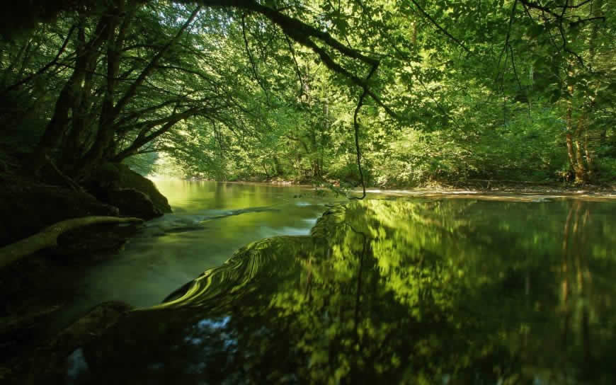 河流森林风景高清壁纸图片 2560x1600