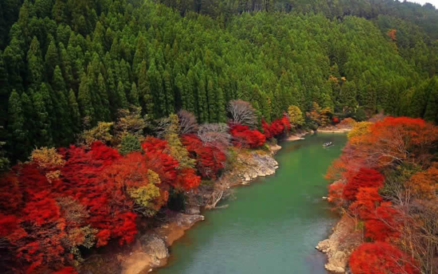 秋天河流两岸的红树林高清壁纸图片 1920x1200