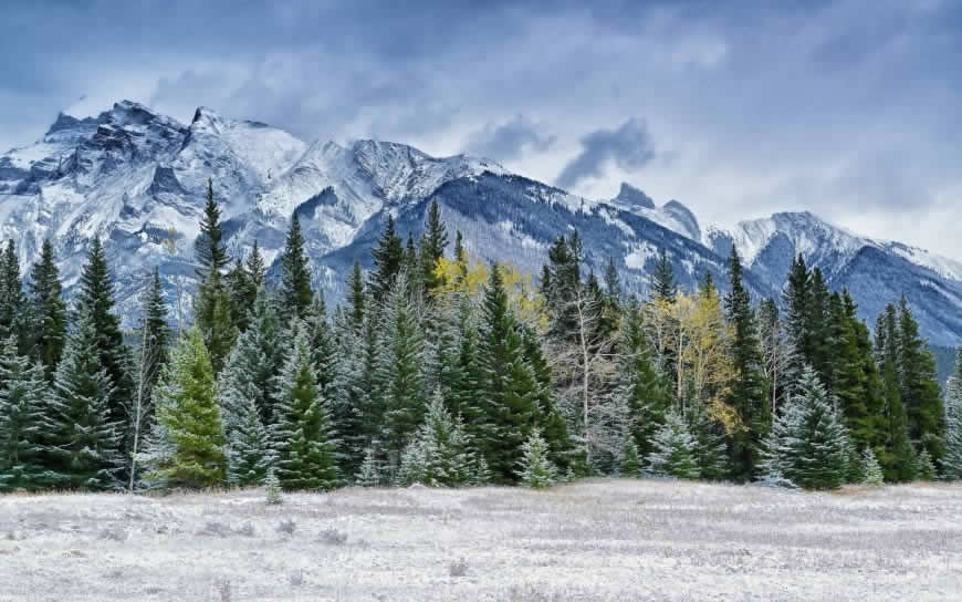 冬天雪山树林天空风景高清壁纸图片 2560x1600