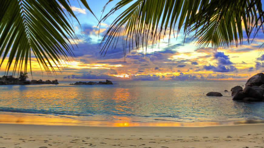 热带海滩棕榈树天空风景高清壁纸图片 5120x2880