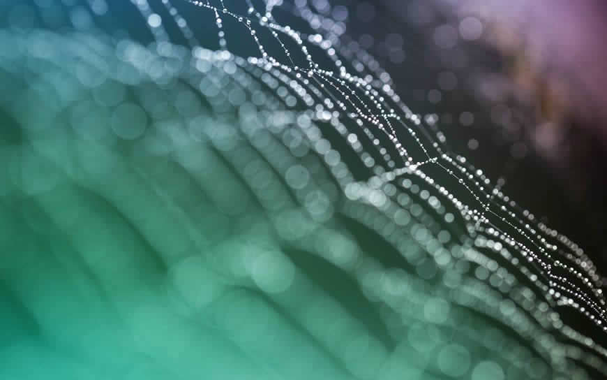 光下的水珠高清壁纸图片 2560x1600