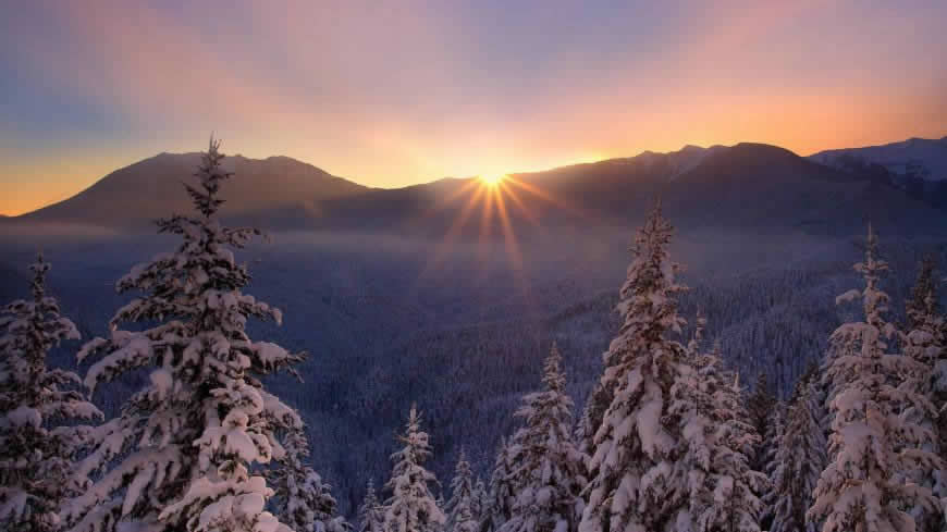 冬天日落雪树风景高清壁纸图片 1920x1080
