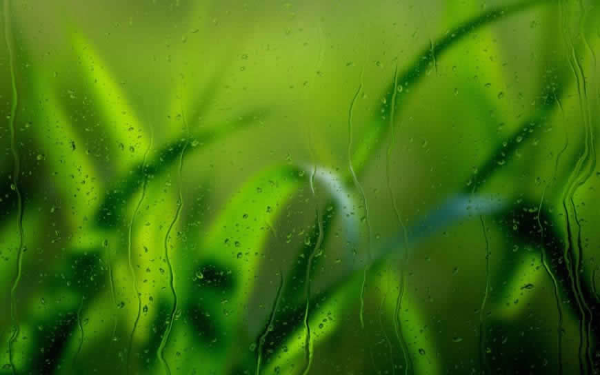 玻璃上的雨滴高清壁纸图片 1920x1200