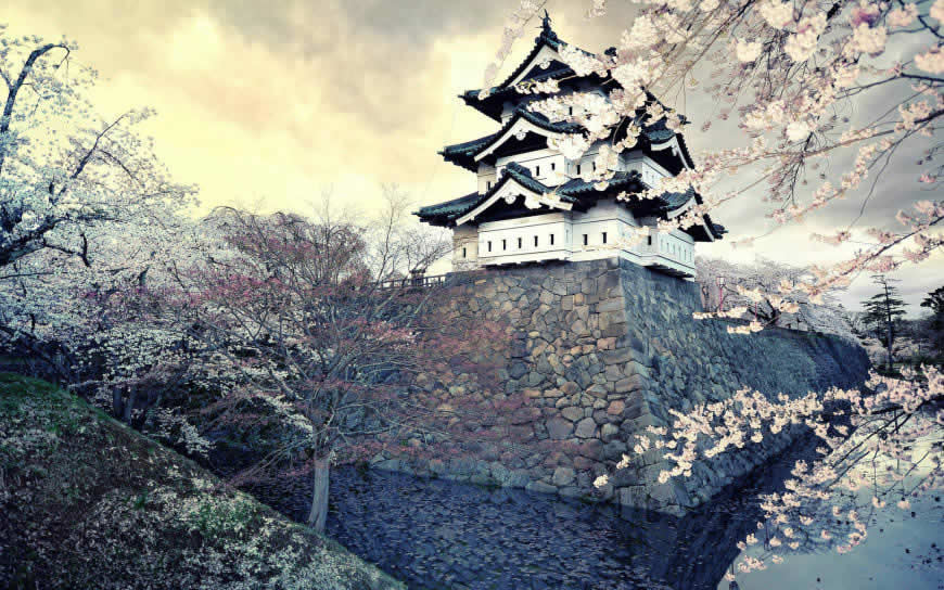 日本春天樱花风景高清壁纸图片 1920x1200