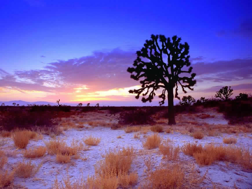 加利福尼亚唯美日落风景高清壁纸图片 1600x1200
