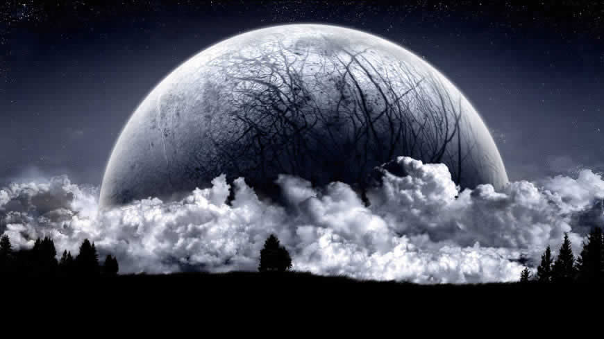 黑白 月球与树高清壁纸图片 1920x1080