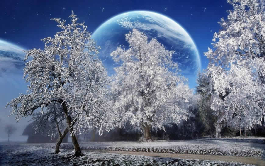 冬天的雪树与月亮高清壁纸图片 1920x1200
