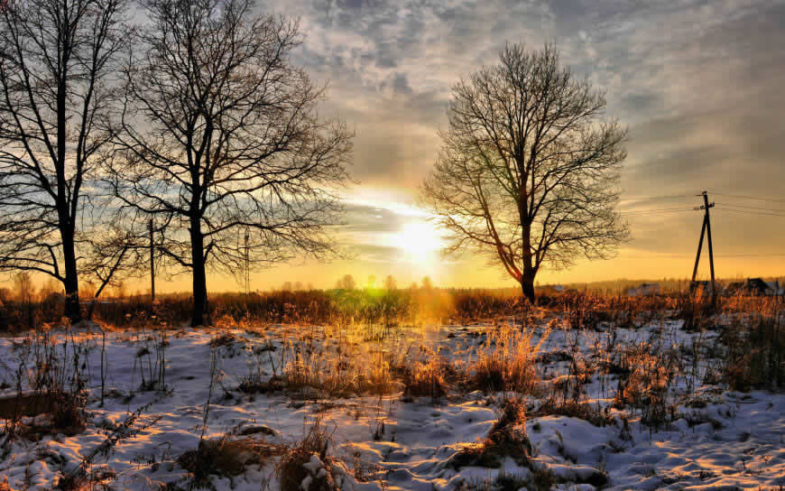 冬天雪后的阳光与树高清壁纸图片 1920x1200
