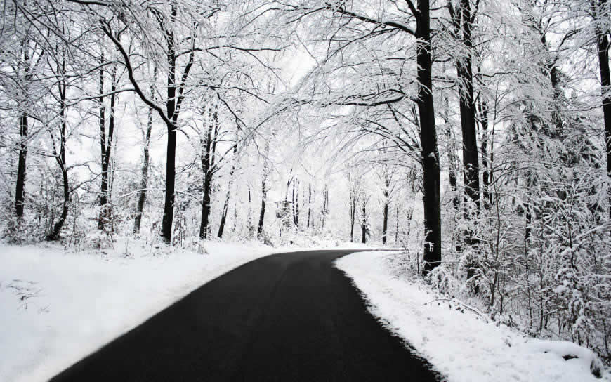 唯美冬日雪景高清壁纸图片 2560x1600