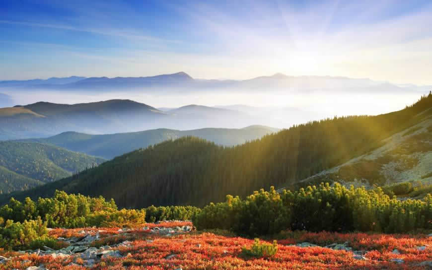 阳光下的山林天空风景高清壁纸图片 2560x1600