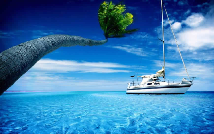 蓝色大海上的游艇与棕榈树高清壁纸图片 3840x2400