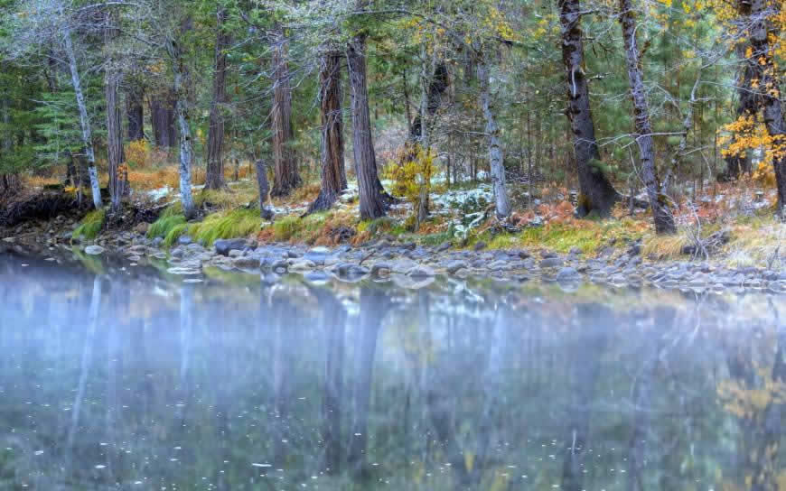 水中的美丽森林倒影高清壁纸图片 1920x1200