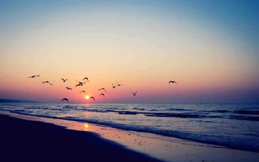 唯美海上日落风景高清壁纸图片 2560x1600