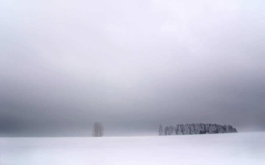 洗涤心灵的冬季雪景高清壁纸图片 2560x1600