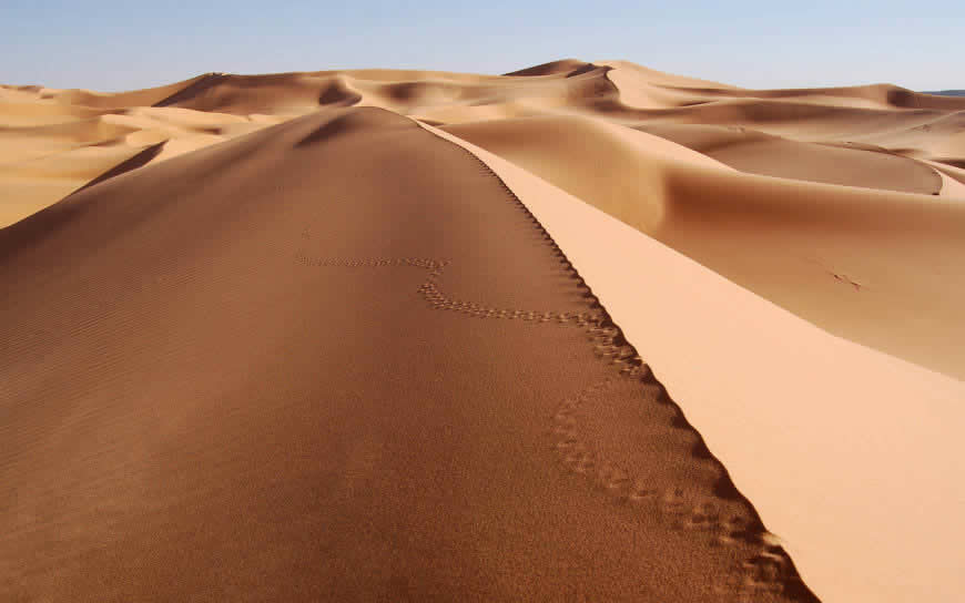 沙漠风景高清壁纸图片 1280x800