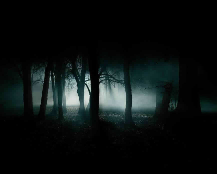 夜晚的森林高清壁纸图片 1280x1024