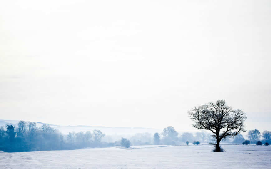 冬天雪景高清壁纸图片 2560x1600