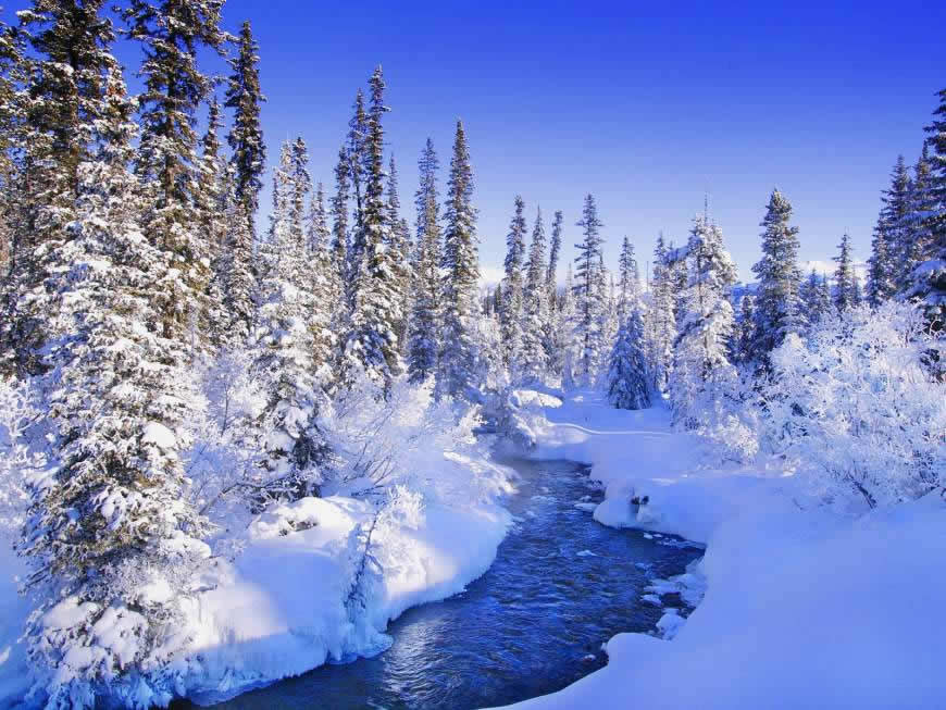 冬季唯美雪景高清壁纸图片 1600x1200
