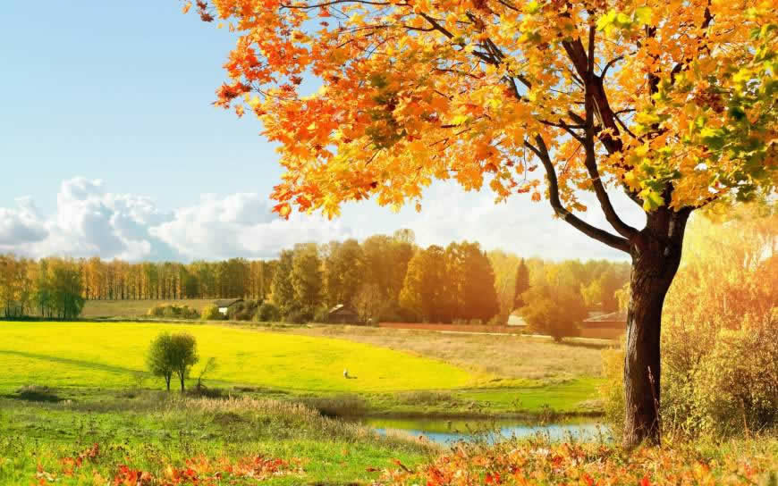 秋天自然风景高清壁纸图片 2560x1600
