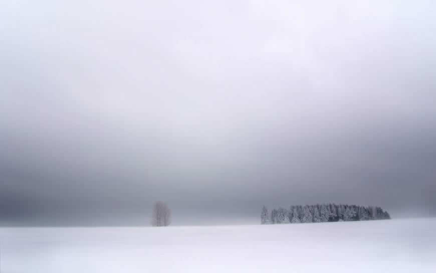 冬天野外雪景高清壁纸图片 2560x1600