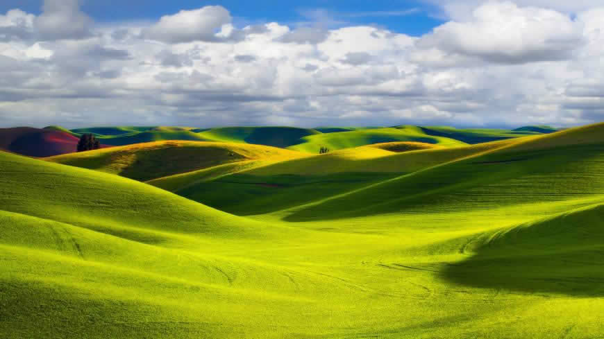 美丽的大草原高清壁纸图片 1920x1080