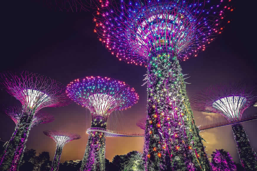 新加坡滨海湾花园超级树夜景高清壁纸图片 3000x2000