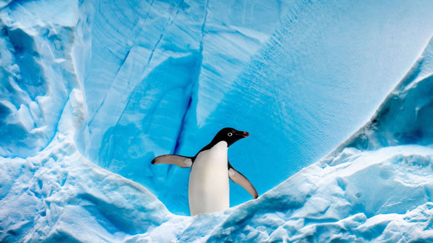 冰川 企鹅高清壁纸图片 3840x2160