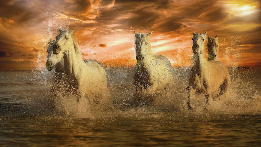 水中奔跑的马群高清壁纸图片 3840x2160