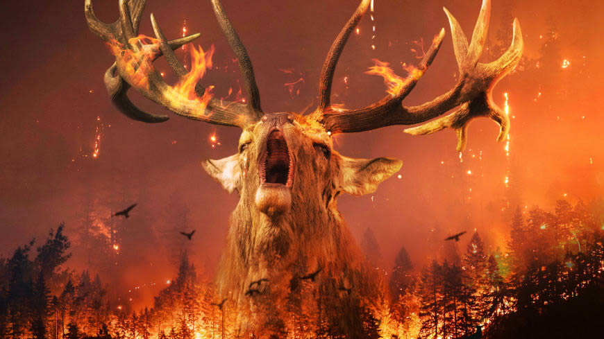 森林火灾 火中的鹿高清壁纸图片 3840x2160