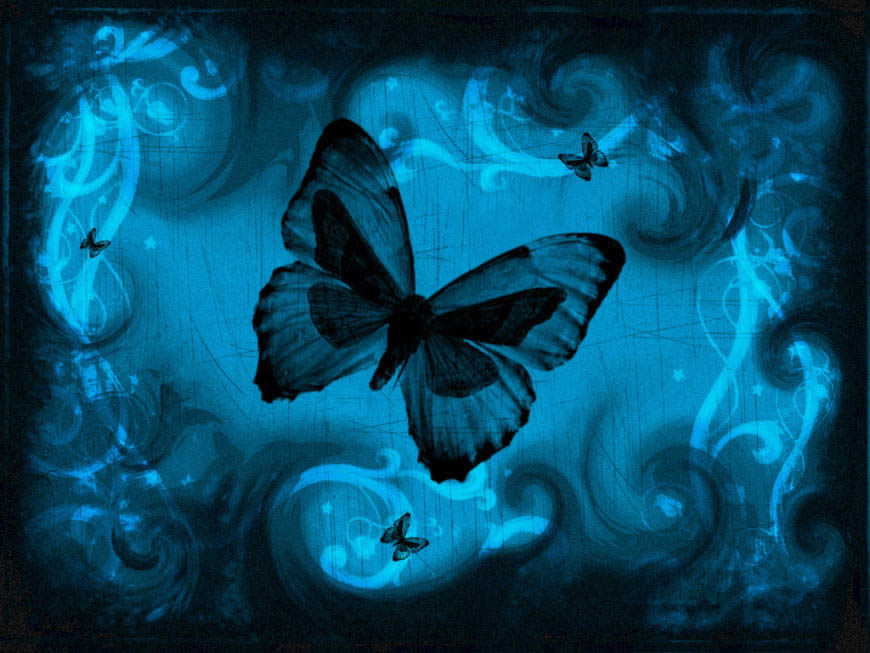 梦幻的蝴蝶高清壁纸图片 1024x768