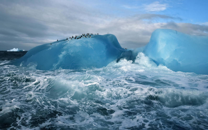 南极洲企鹅高清壁纸图片 2880x1800
