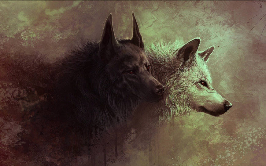 插画 黑色的狼与白色的狼高清壁纸图片 1920x1200
