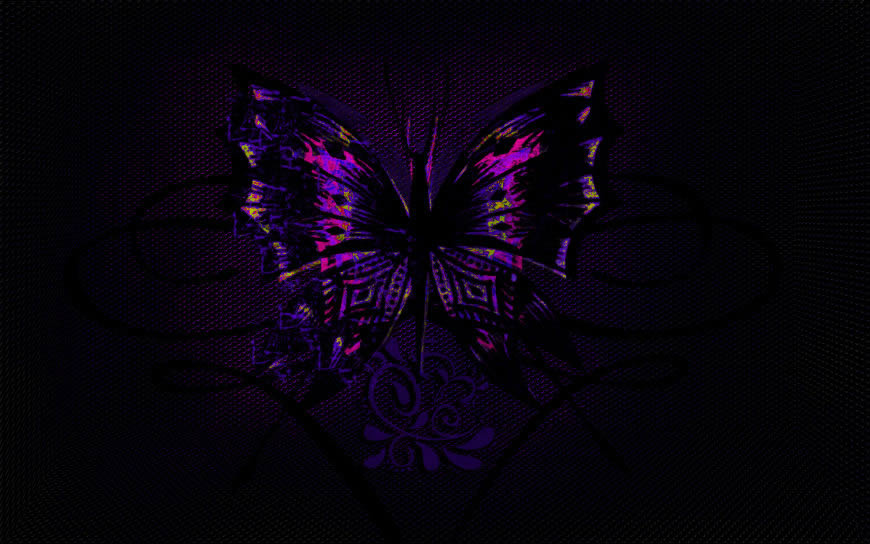 紫色蝴蝶图案高清壁纸图片 2560x1600