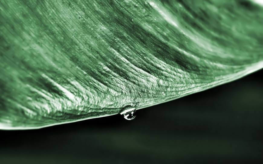 绿叶上的水滴高清壁纸图片 1680x1050