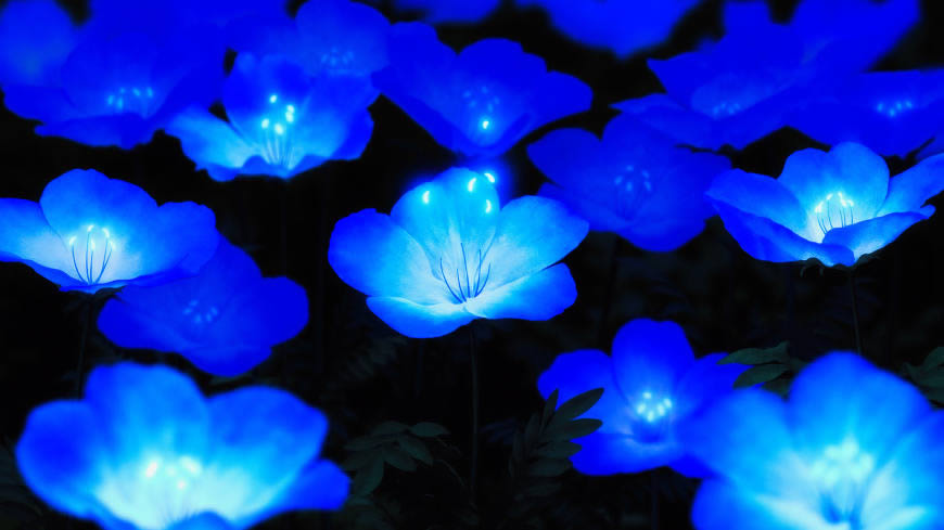 发光的蓝色花朵高清壁纸图片 7680x4320