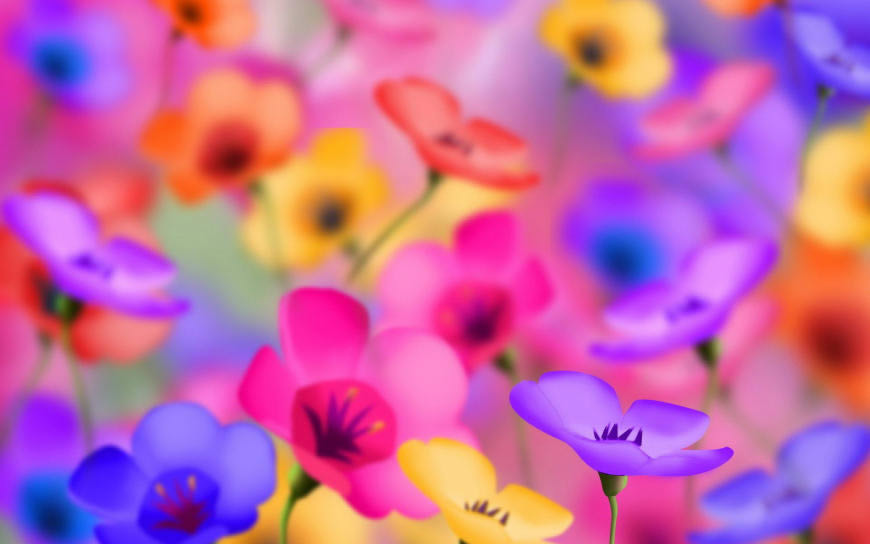 鲜艳的五颜六色花卉高清壁纸图片 1920x1200
