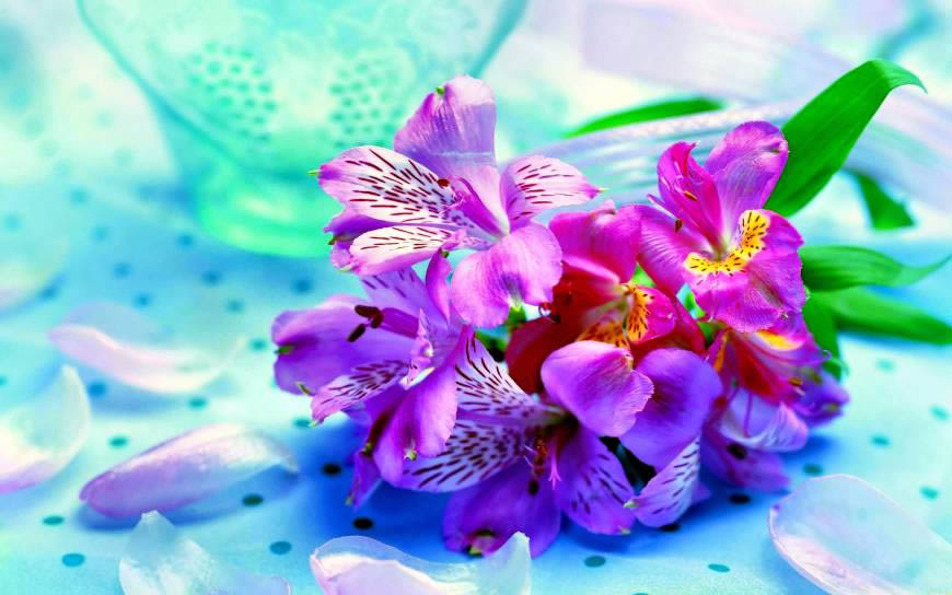鲜艳的紫色花束高清壁纸图片 2880x1800