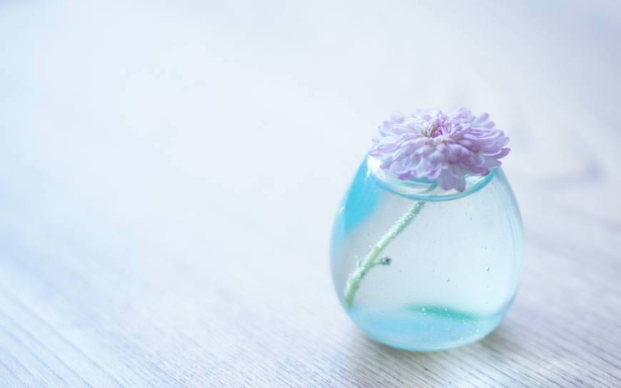 玻璃花瓶里的花朵高清壁纸图片 2560x1600